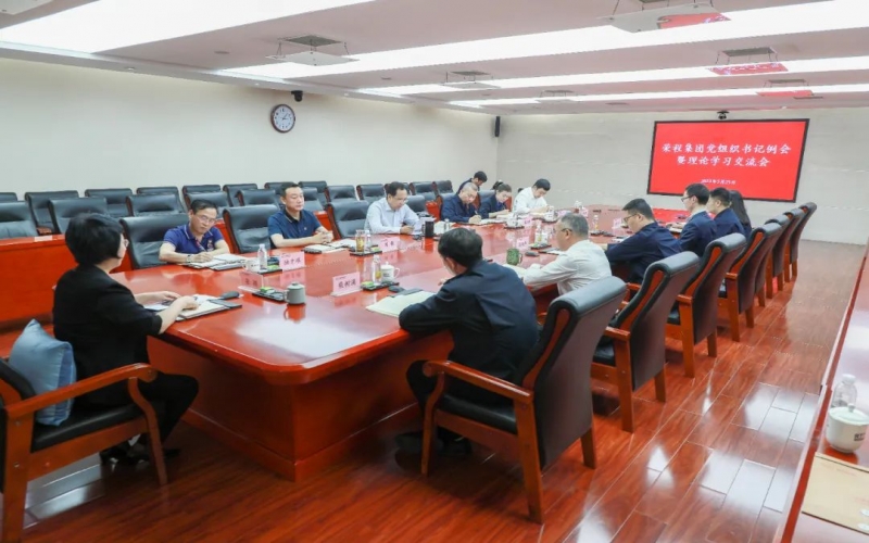 黨建引領(lǐng) 凝心聚力 榮程集團(tuán)召開(kāi)黨組織書(shū)記例會(huì)暨理論學(xué)習(xí)交流會(huì)