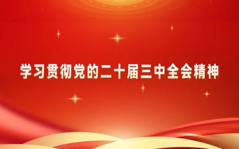 黨建陣地 - 榮程集團(tuán)黨員干部學(xué)習(xí)貫徹黨的二十屆三中全會(huì)精神體會(huì)交流（三）